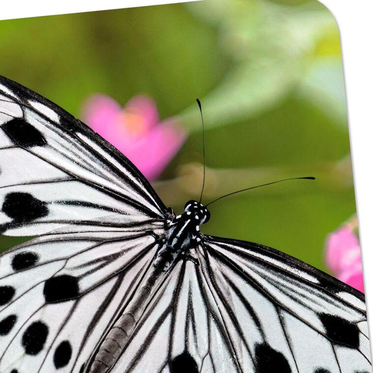 Hallmark Black-and-White Butterfly And Pink Flowers Blank Card