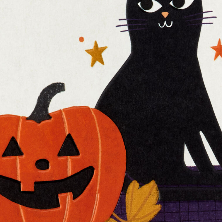 Hallmark Black Cat And Jack-o'-Lantern Halloween Card