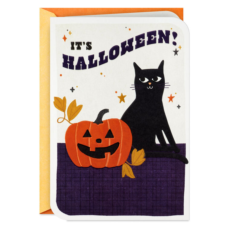 hallmark Black Cat and Jack-o'-Lantern Halloween Card