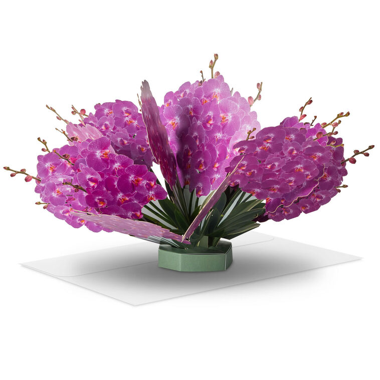 hallmark Build-a-Bouquet Fuchsia Orchids Pop-Up Paper Flowers