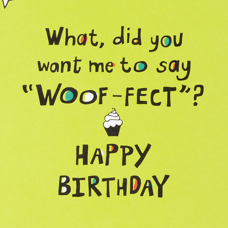 Hallmark Bulldog In Party Hat Funny 9th Birthday Card With Decal
