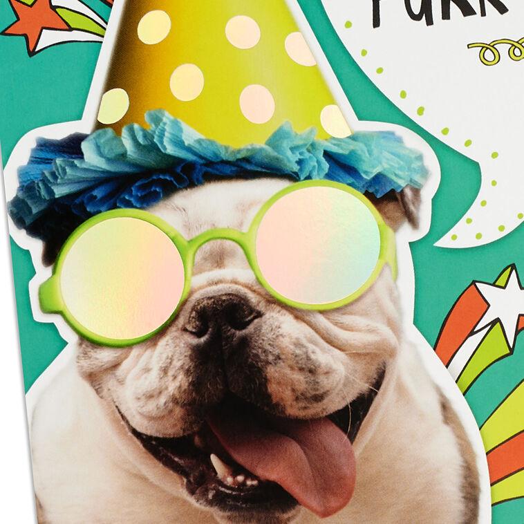 Hallmark Bulldog In Party Hat Funny 9th Birthday Card With Decal