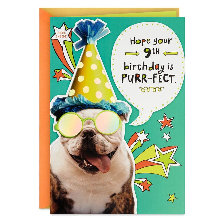 hallmark Bulldog in Party Hat Funny 9th Birthday Card With Decal
