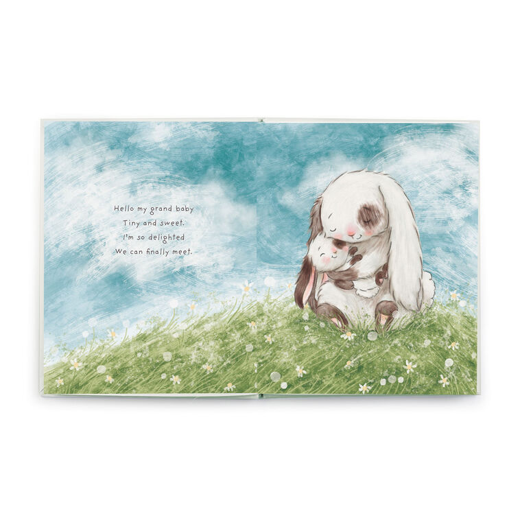 Hallmark Bunnies By The Bay What Will My Grandchild Call Me? Storybook