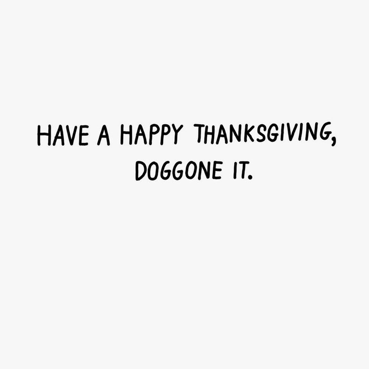Hallmark Canine Thanksgiving Funny Thanksgiving Card