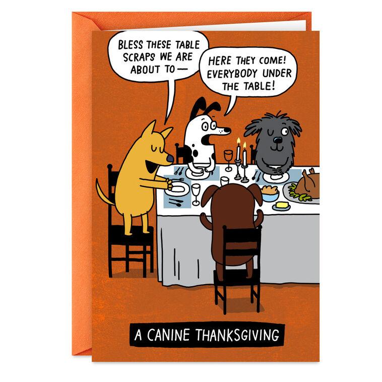 hallmark Canine Thanksgiving Funny Thanksgiving Card