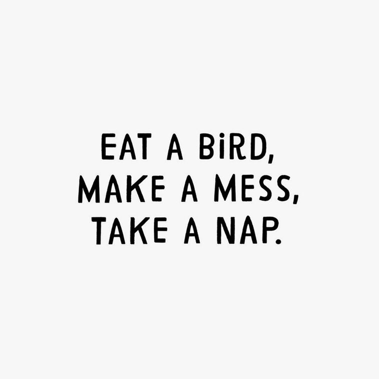 Hallmark Celebrate Like A Cat Funny Thanksgiving Card