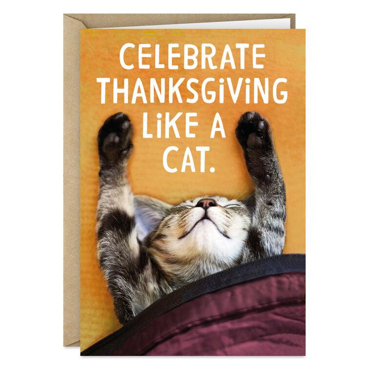 hallmark Celebrate Like a Cat Funny Thanksgiving Card