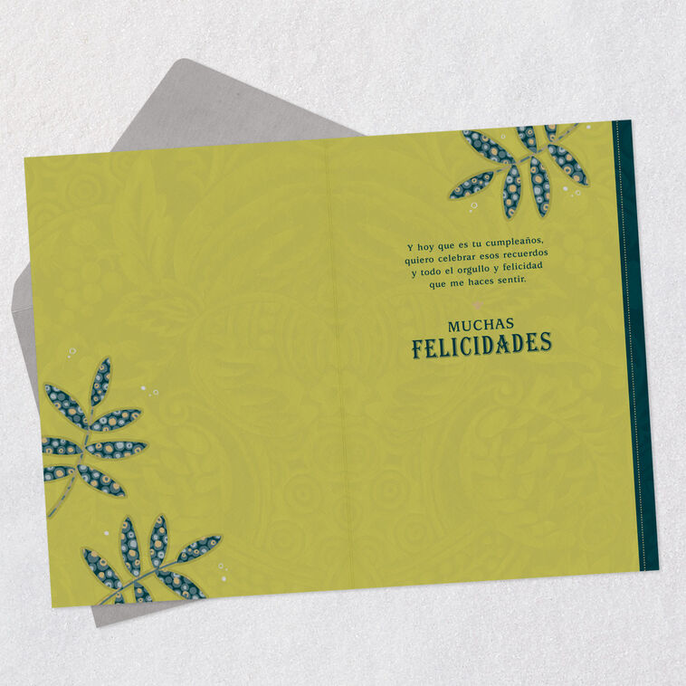 Hallmark Celebrating You With Pride Spanish-Language Birthday Card For Grandson