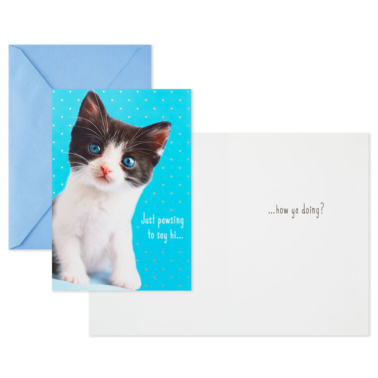 Hallmark Cheery And Bright Assorted Multi-Occasion Cards Pack Of 8