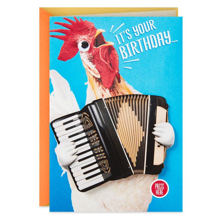 hallmark Chicken Dance Funny Musical Birthday Card With Motion