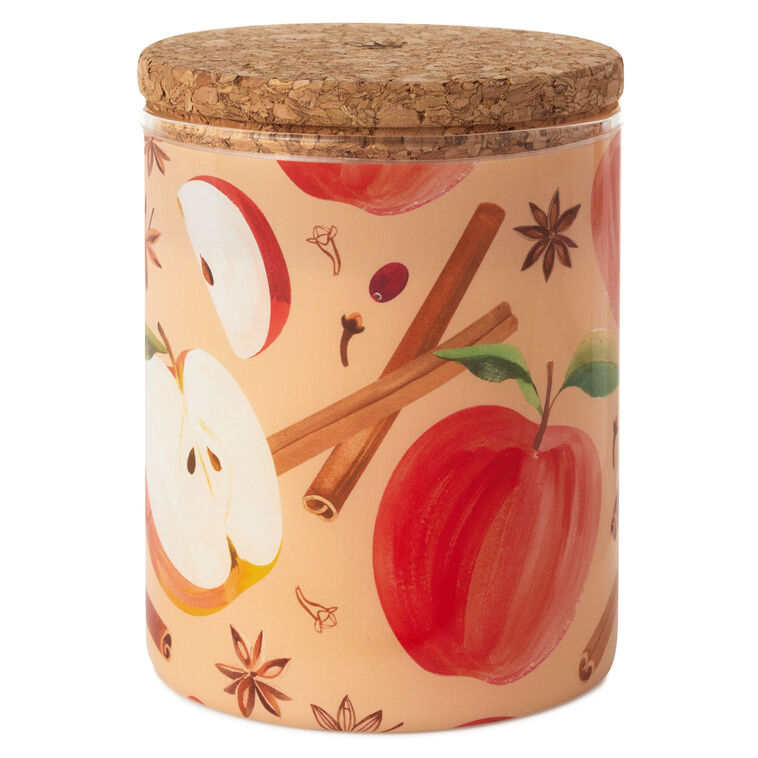 hallmark Cinnamon and Chai 2-Wick Scented Candle 14.5 oz