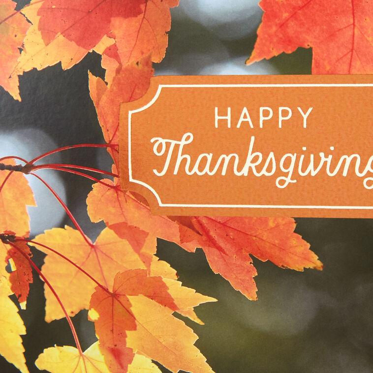 Hallmark Colorful Fall Leaves Thanksgiving Cards Pack Of 10