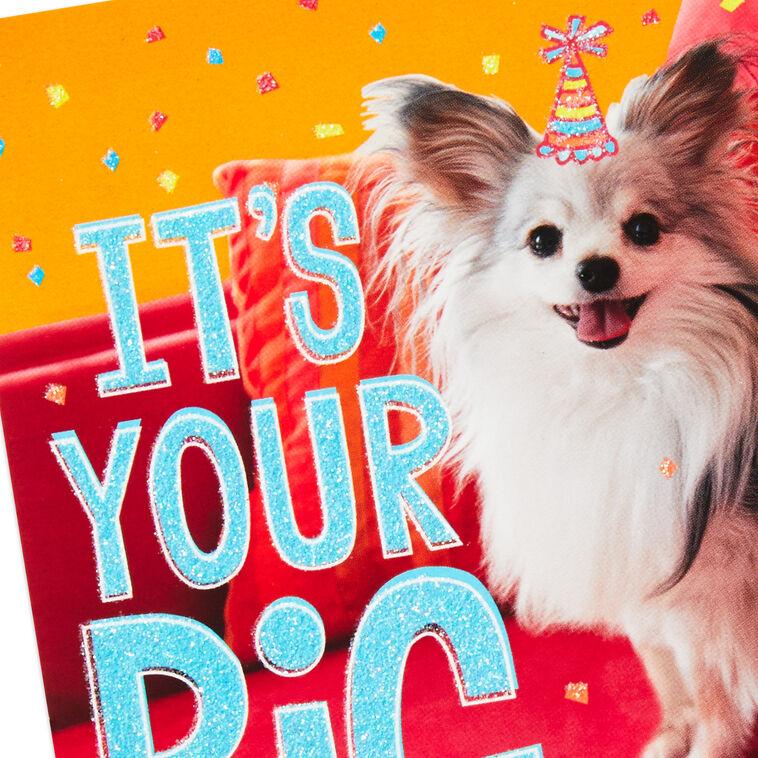 Hallmark Cupcakes And Confetti Assorted Birthday Cards Box Of 20