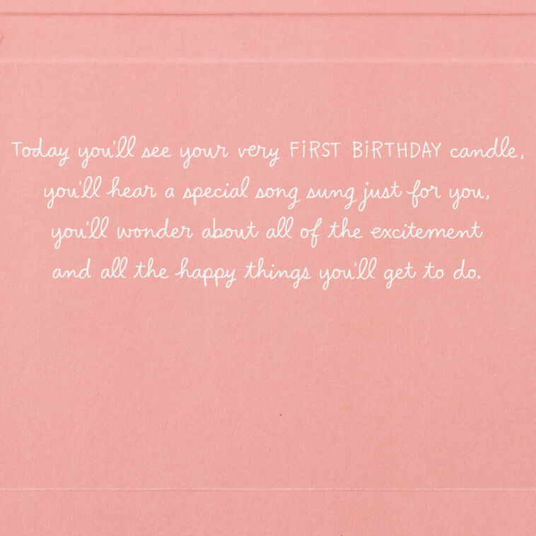 Hallmark Cute Bear Blessed And Loved First Birthday Card