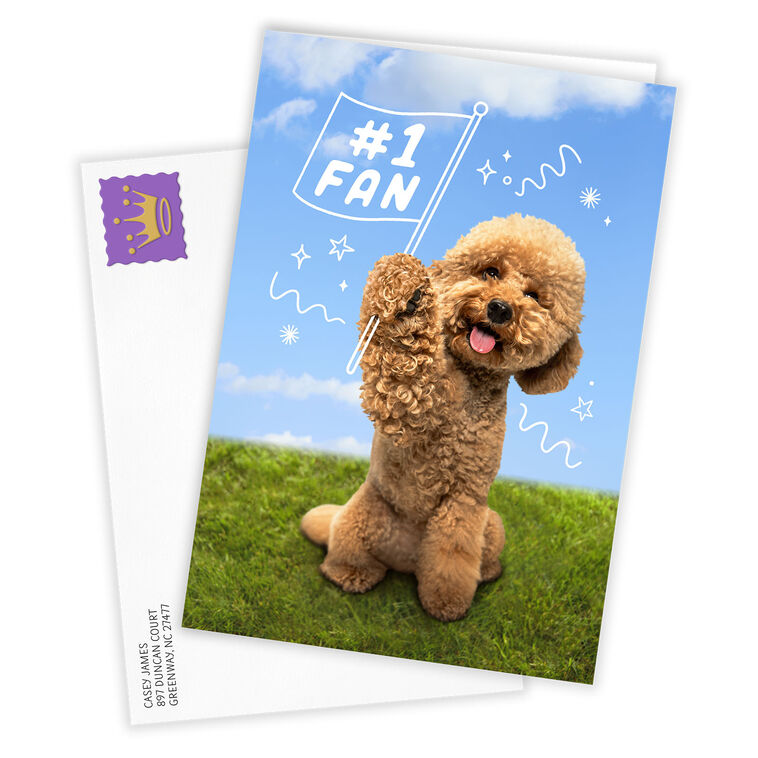 Hallmark Cute Dog Cheering You On Custom Encouragement Card