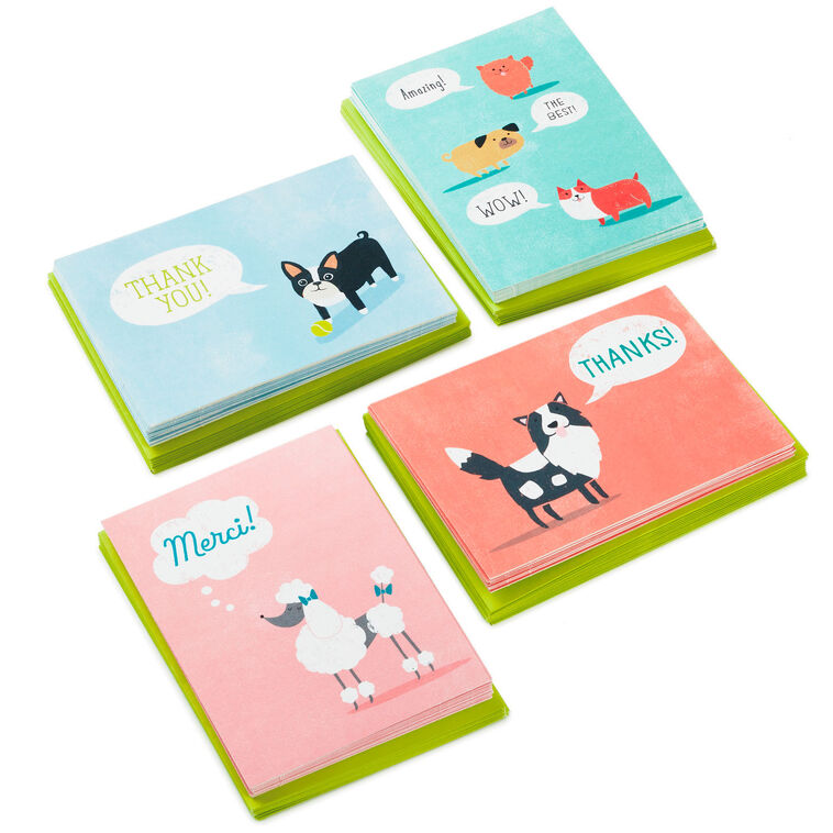 hallmark Cute Dogs Assortment Blank Thank-You Notes Pack of 48