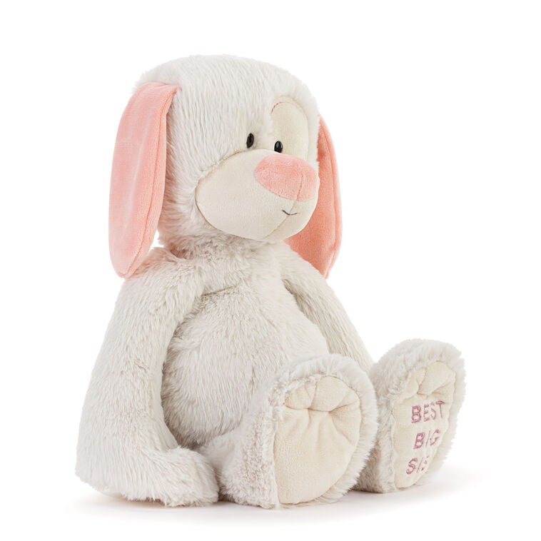 Hallmark Demdaco Best Big Sister Dog Stuffed Animal 16"
