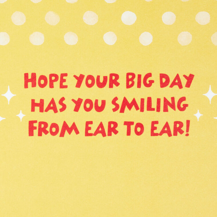 Hallmark Disney Mickey Mouse Smiling From Ear To Ear Birthday Card