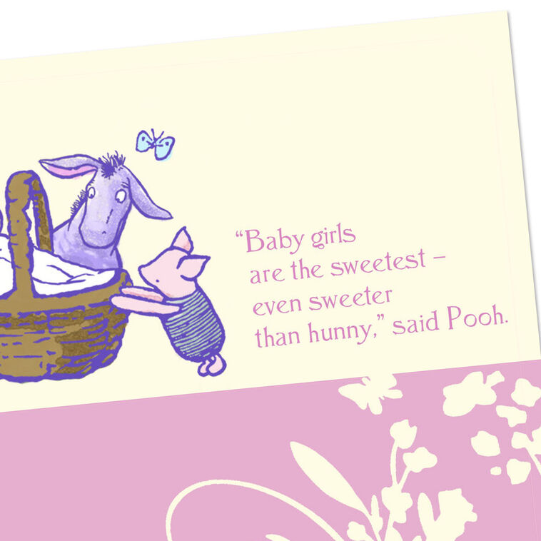 Hallmark Disney Winnie The Pooh Piglet And Eeyore New Baby Girl Card