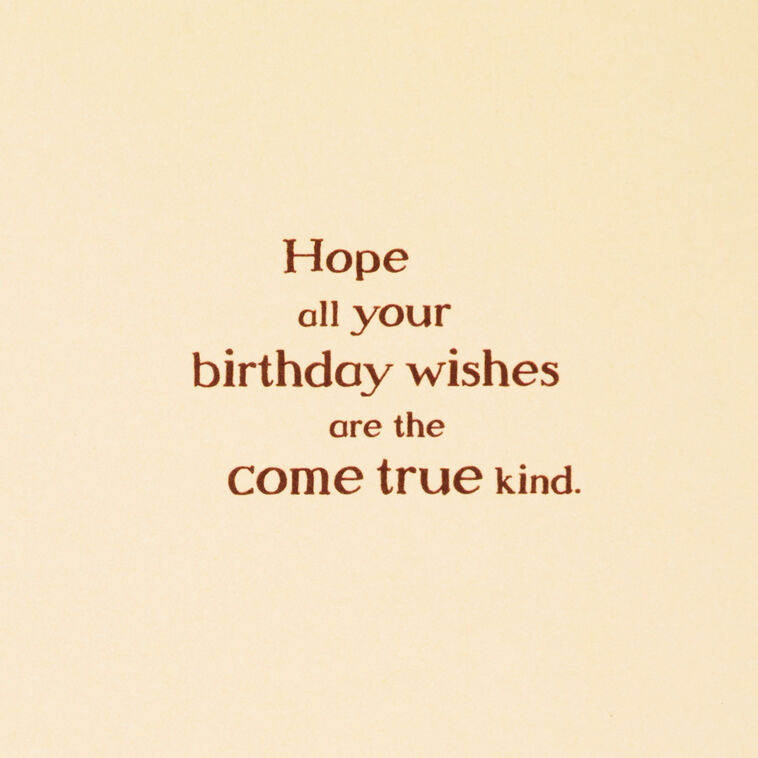 Hallmark Disney Winnie The Pooh Wishes Come True Birthday Card
