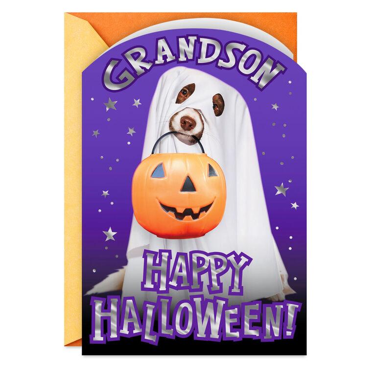 hallmark Dog in Ghost Costume Halloween Card for Grandson