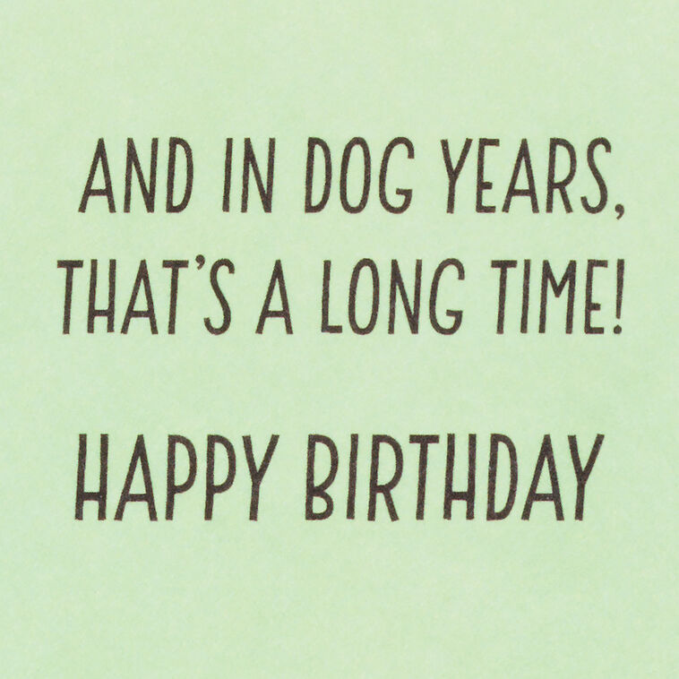 Hallmark Dog Years Waiting For Cake Funny Birthday Card