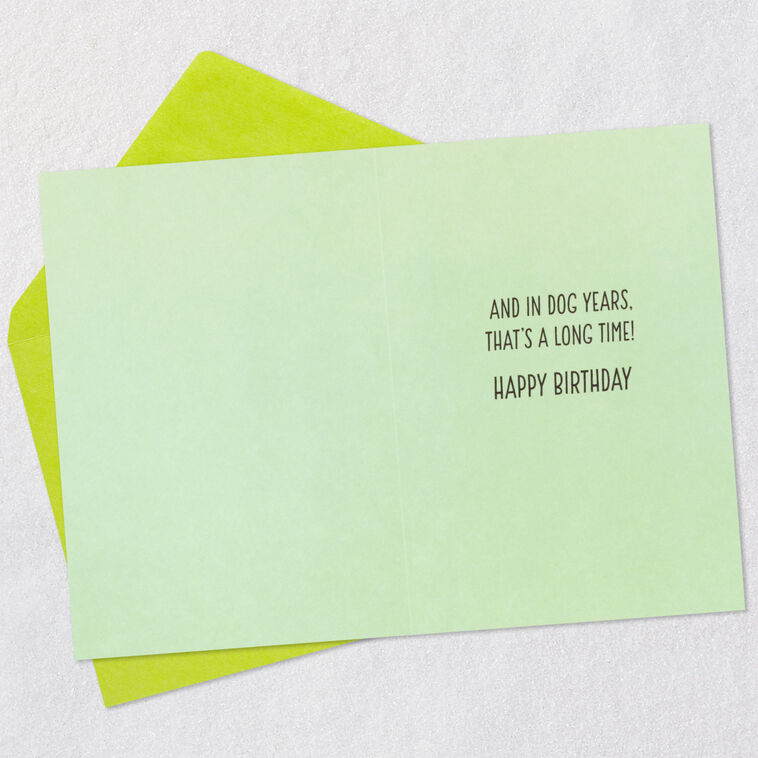 Hallmark Dog Years Waiting For Cake Funny Birthday Card