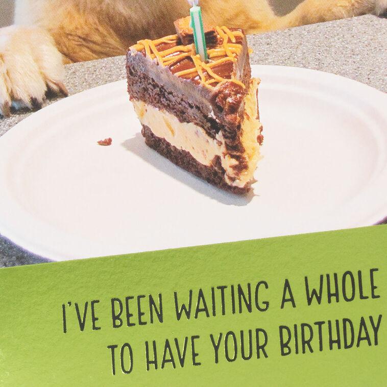 Hallmark Dog Years Waiting For Cake Funny Birthday Card
