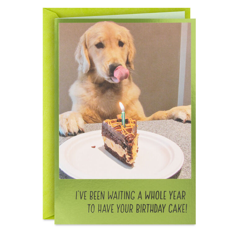 hallmark Dog Years Waiting for Cake Funny Birthday Card