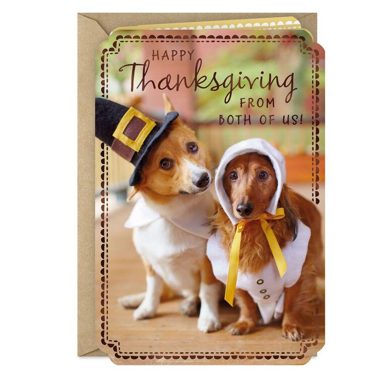 hallmark Dogs in Pilgrim Outfits Thanksgiving Card From Both