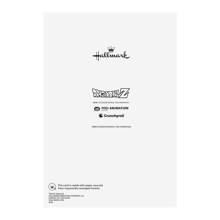 Hallmark Dragon Ball Z Fighting Spirit Birthday Card