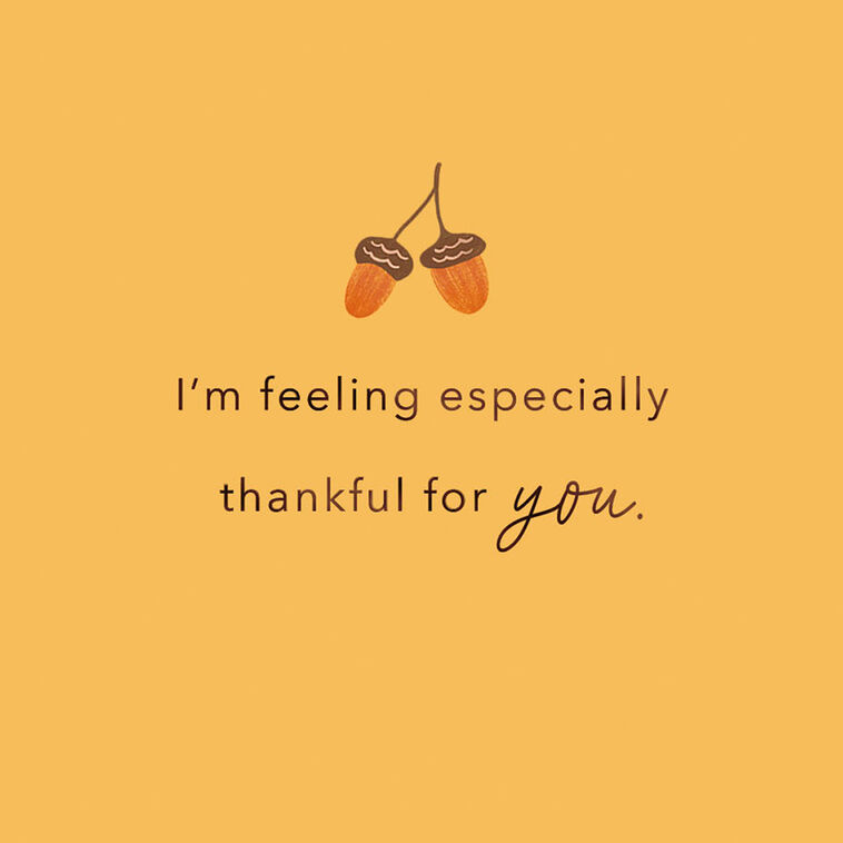 Hallmark Especially Thankful For You Thanksgiving Card