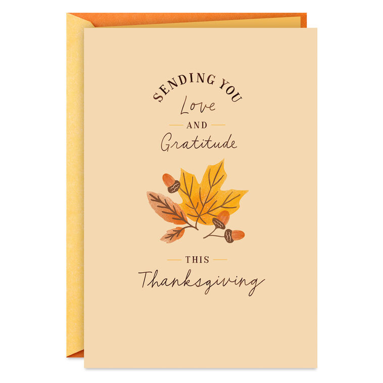 hallmark Especially Thankful for You Thanksgiving Card