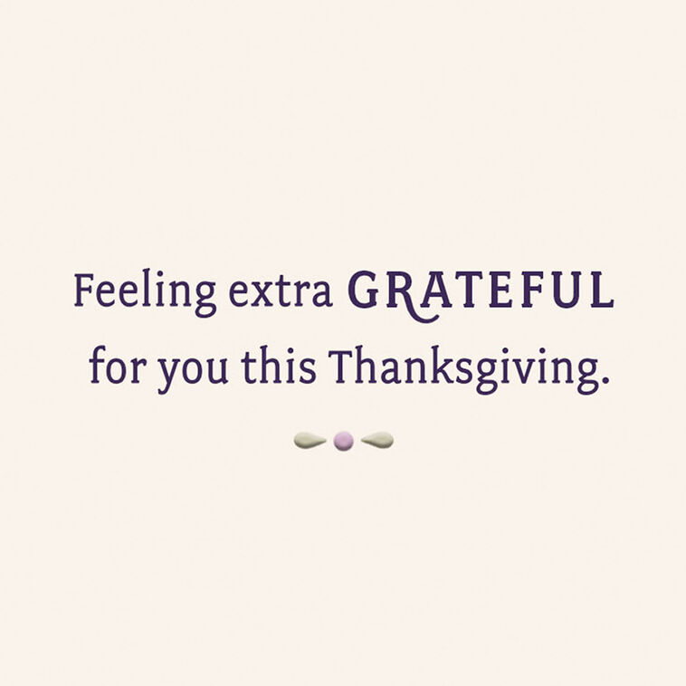 Hallmark Extra Grateful For Family Like You Thanksgiving Card