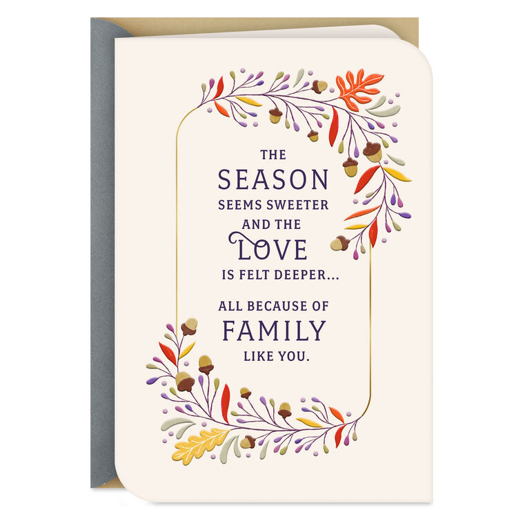 hallmark Extra Grateful for Family Like You Thanksgiving Card
