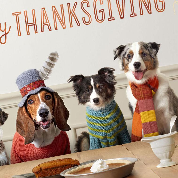 Hallmark Extra Love And Gratitude Thanksgiving Card From All