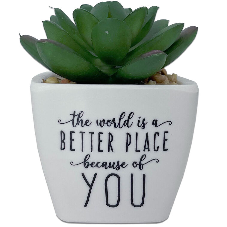 hallmark Faux Potted Succulent With Complimentary Message