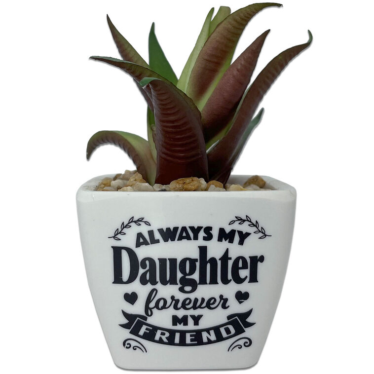 hallmark Faux Potted Succulent With Daughter Message