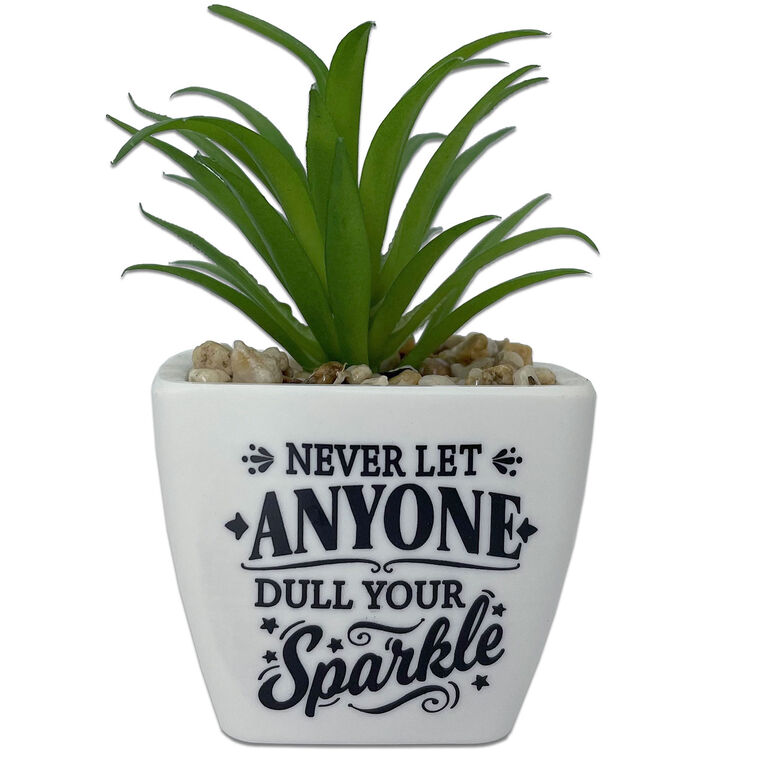 hallmark Faux Potted Succulent With Encouraging Message