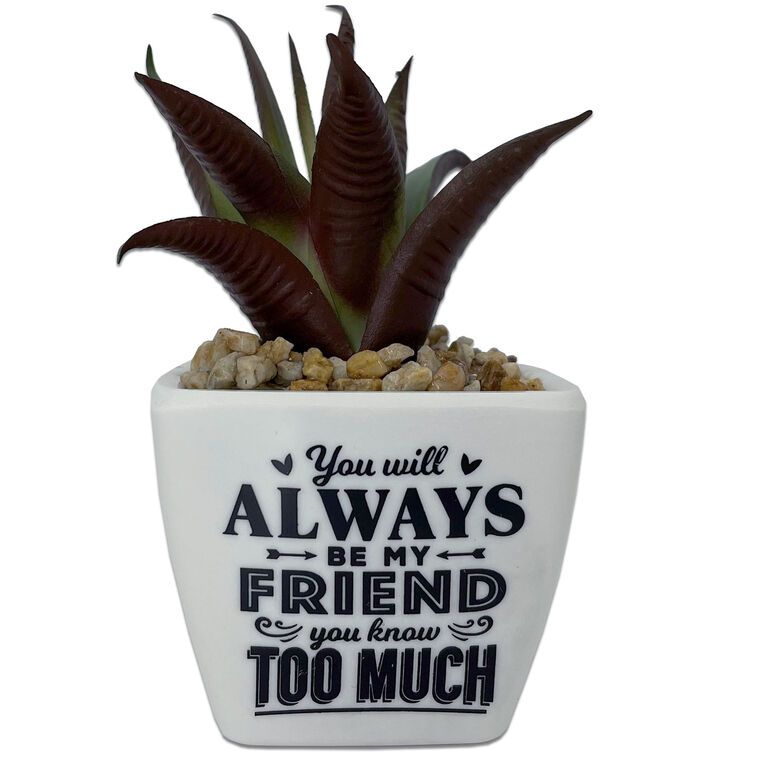 hallmark Faux Potted Succulent With Funny Friend Message