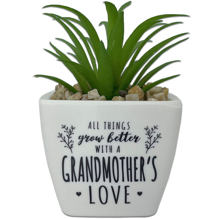 hallmark Faux Potted Succulent With Grandmother Message