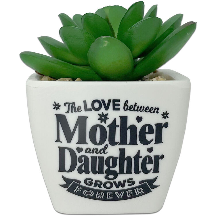 hallmark Faux Potted Succulent With Mom and Daughter Message