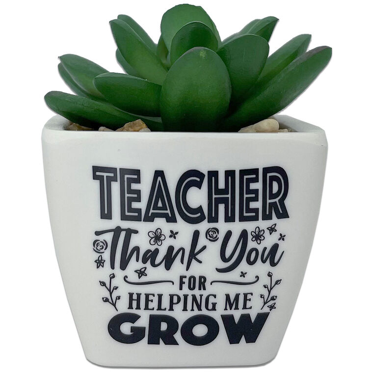 hallmark Faux Potted Succulent With Teacher Message
