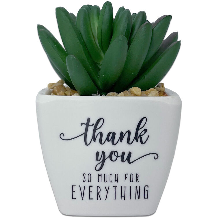 hallmark Faux Potted Succulent With Thank-You Message