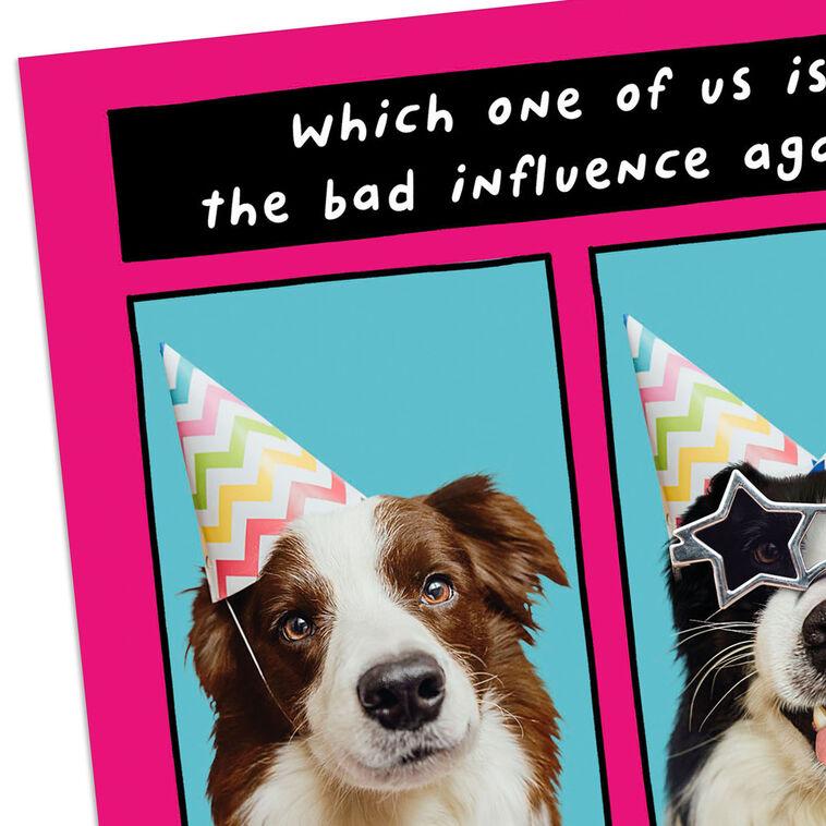 Hallmark Favorite Bad Influence Funny Birthday Card For Sister