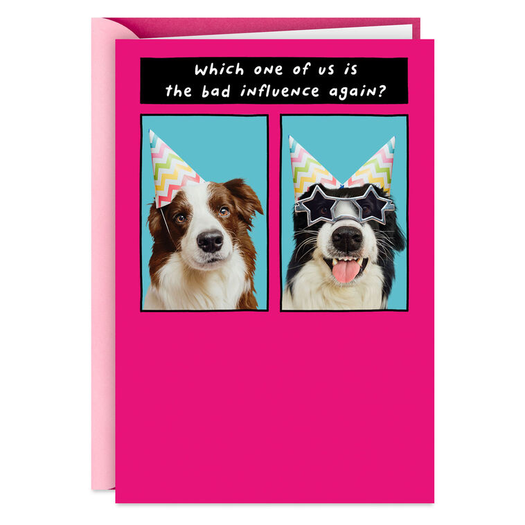 hallmark Favorite Bad Influence Funny Birthday Card for Sister
