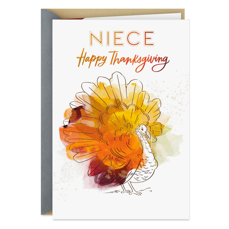 hallmark Feeling So Thankful for You Thanksgiving Card for Niece