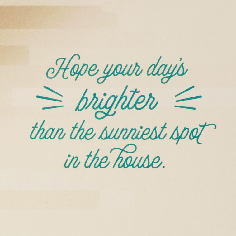 Hallmark Find Your Sunny Spot Birthday Card From The Cat