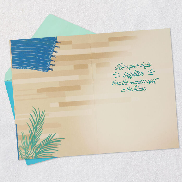 Hallmark Find Your Sunny Spot Birthday Card From The Cat